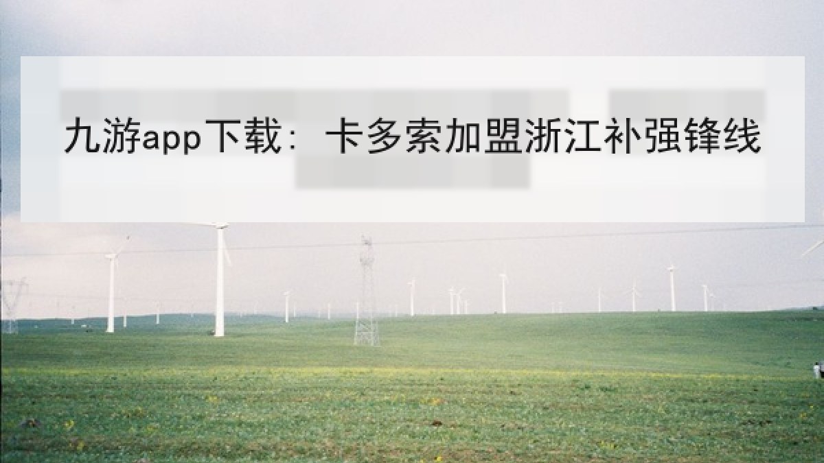 九游app下载: 卡多索加盟浙江补强锋线
