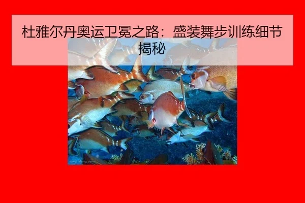 杜雅尔丹奥运卫冕之路：盛装舞步训练细节揭秘
