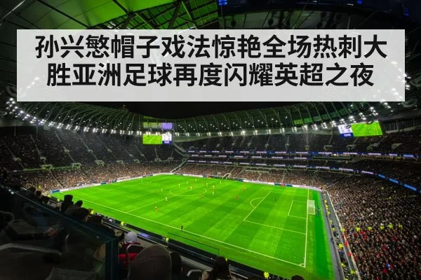Tottenham Hotspur stadium
