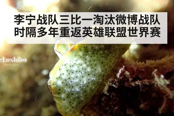 李宁战队三比一淘汰微博战队 时隔多年重返英雄联盟世界赛