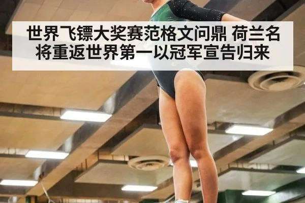 世界飞镖大奖赛范格文问鼎 荷兰名将重返世界第一以冠军宣告归来